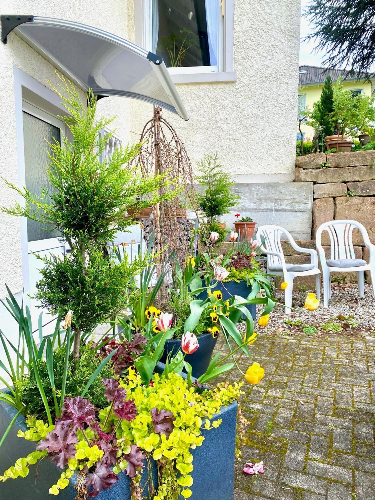 Haus Marija M Hotel Badenweiler Room photo